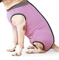 Traje recuperacion Perro Body