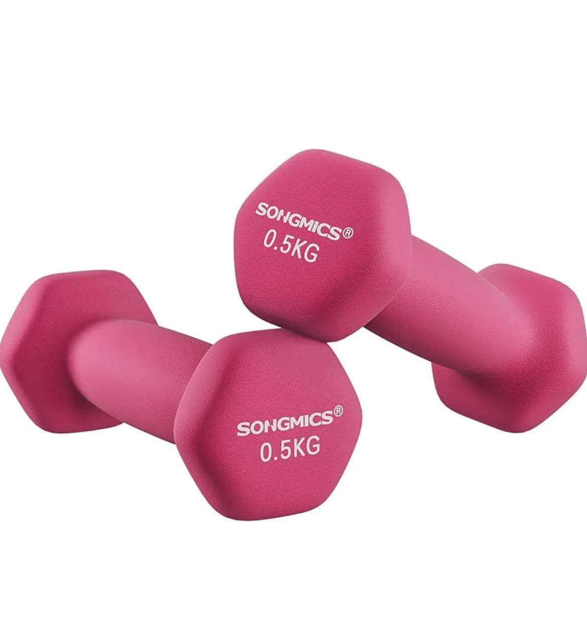 Juego de 2 mancuernas de 0,5KG SONGMICS