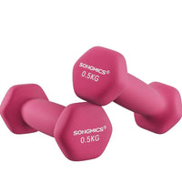 Juego de 2 mancuernas de 0,5KG SONGMICS
