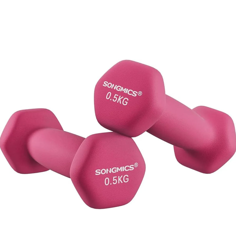 Juego de 2 mancuernas de 0,5KG SONGMICS