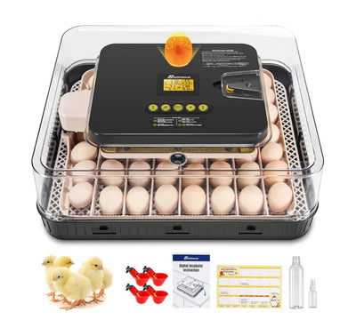 Incubadora de huevos