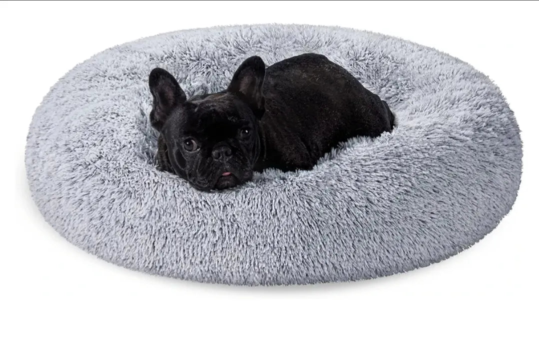 Cama de Perros