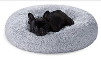 Cama de Perros