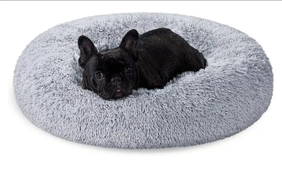 Cama de Perros