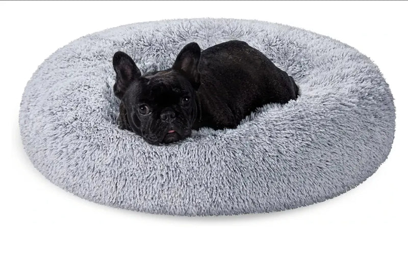 Cama de Perros