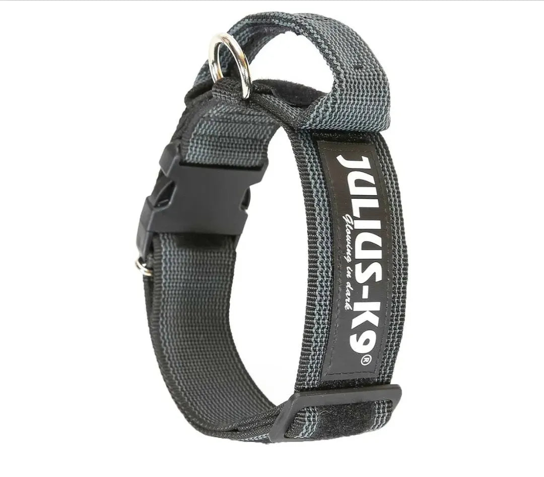 Collar con la manija JULIUS K9