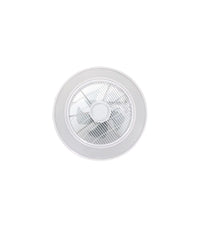 Ventilador de techo