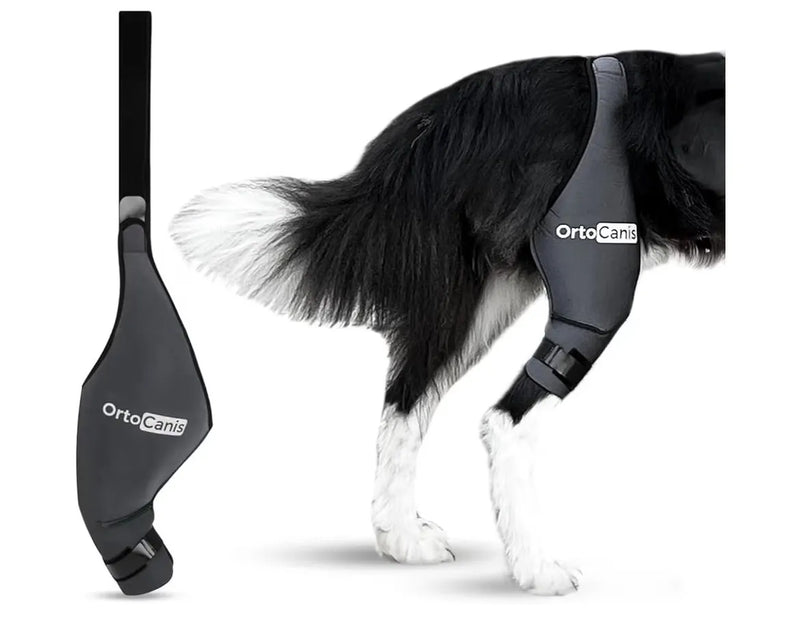 Rodillera para perro Pierna Trasera Derecha Ortocanis