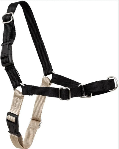 Arnés de paseo con anillas - Petsafe