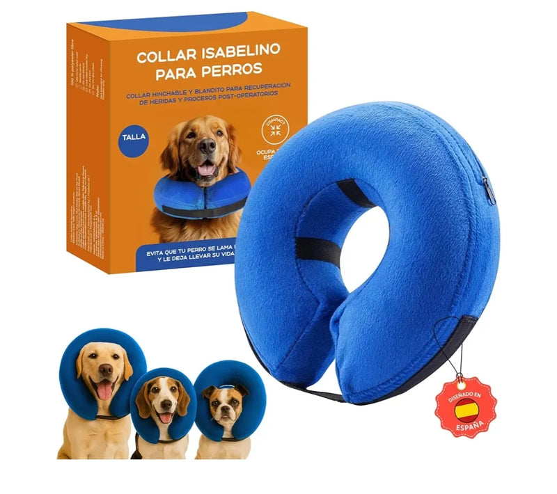 Collar isabelino Perro