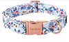 Collar de perro Paws