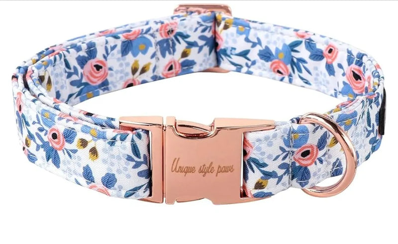 Collar de perro Paws