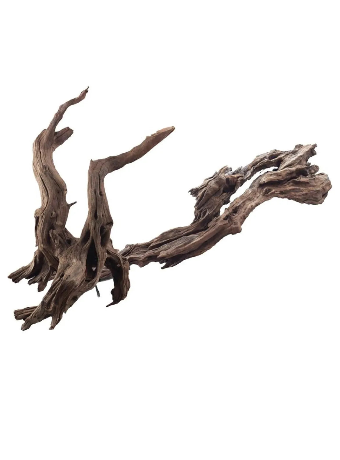Madera De Ikebana Acuario Amtra
