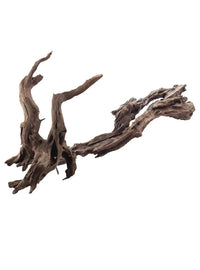 Madera De Ikebana Acuario Amtra