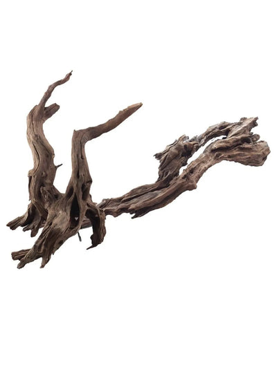 Madera De Ikebana Acuario Amtra