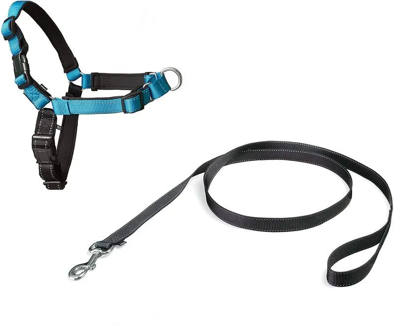 Correa para Perros PetSafe Easy Walk Deluxe Azul