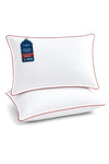 Almohada de 50x75 Pack 2