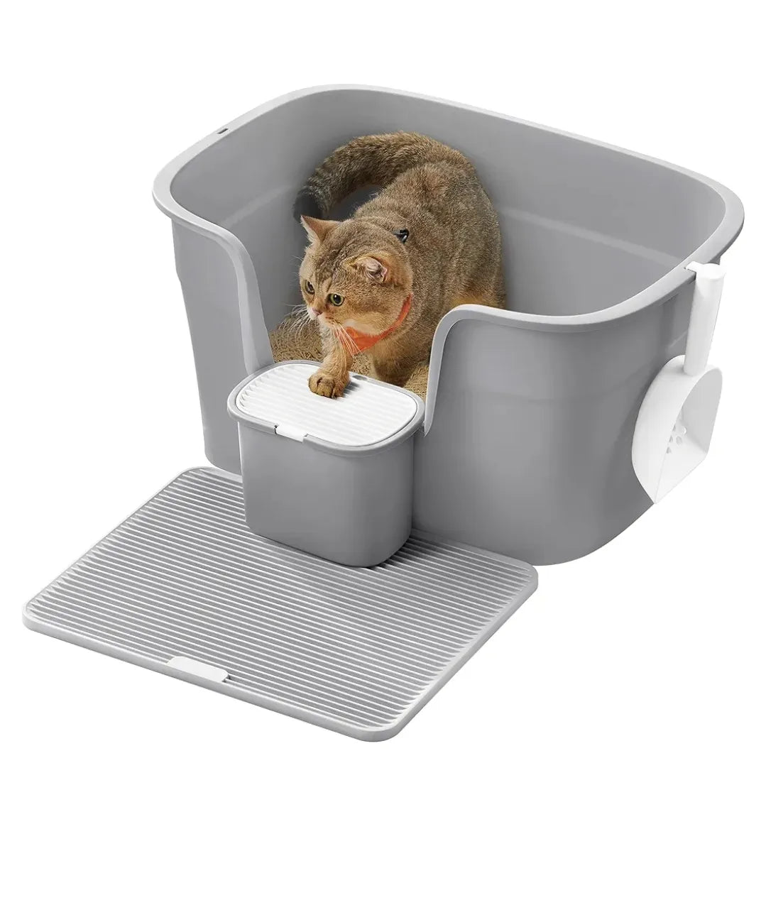 Arenero para gatos