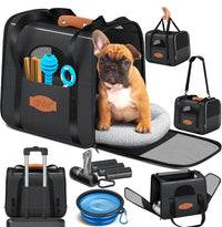Transporte para Mascotas - LovPet