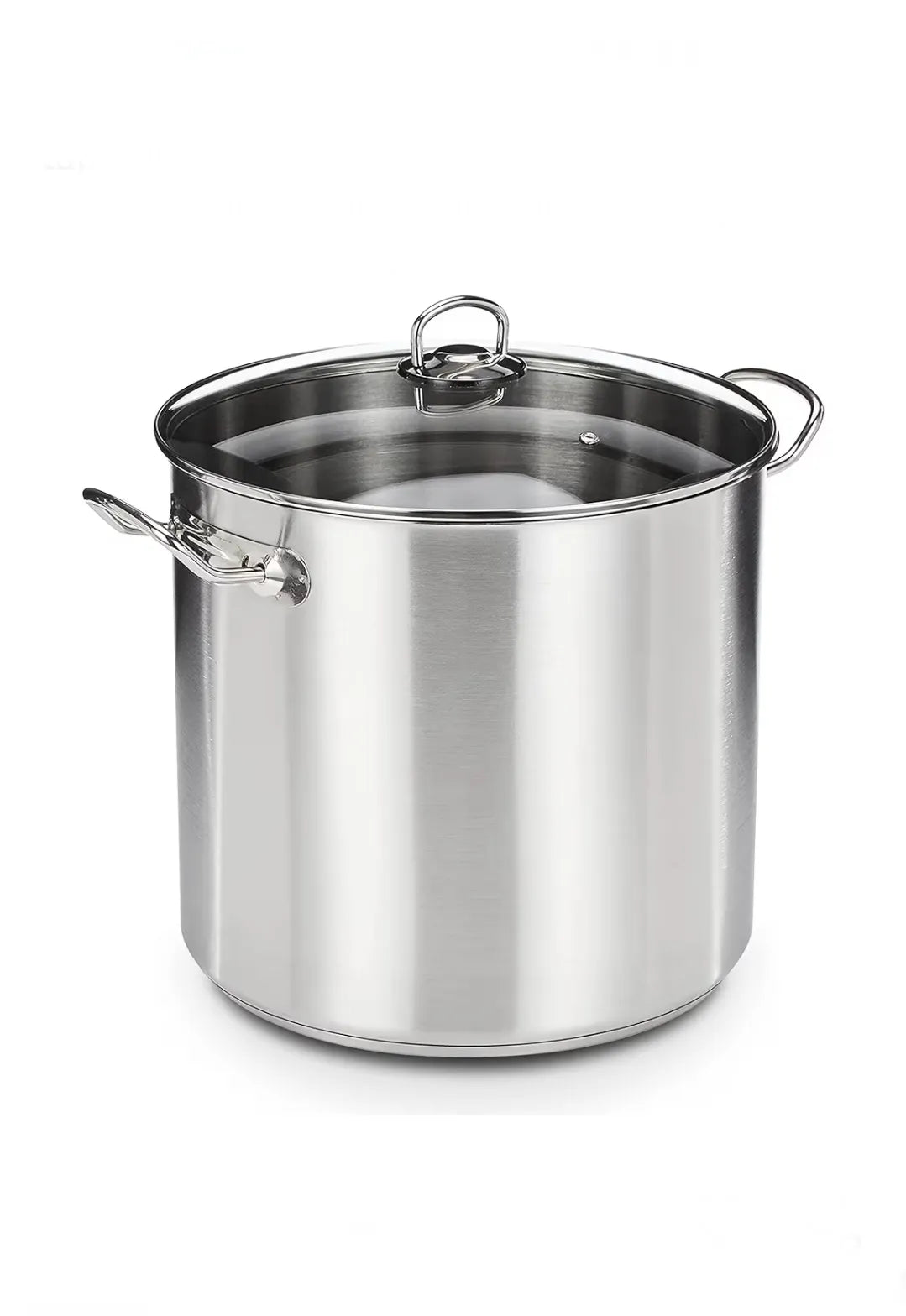 Olla grande profesional con tapa de cristal 30 x 28 cm
