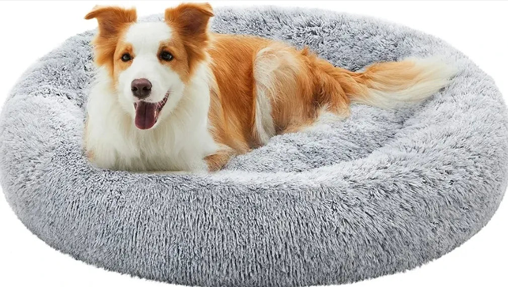 Cama de perros con cojín central lavable