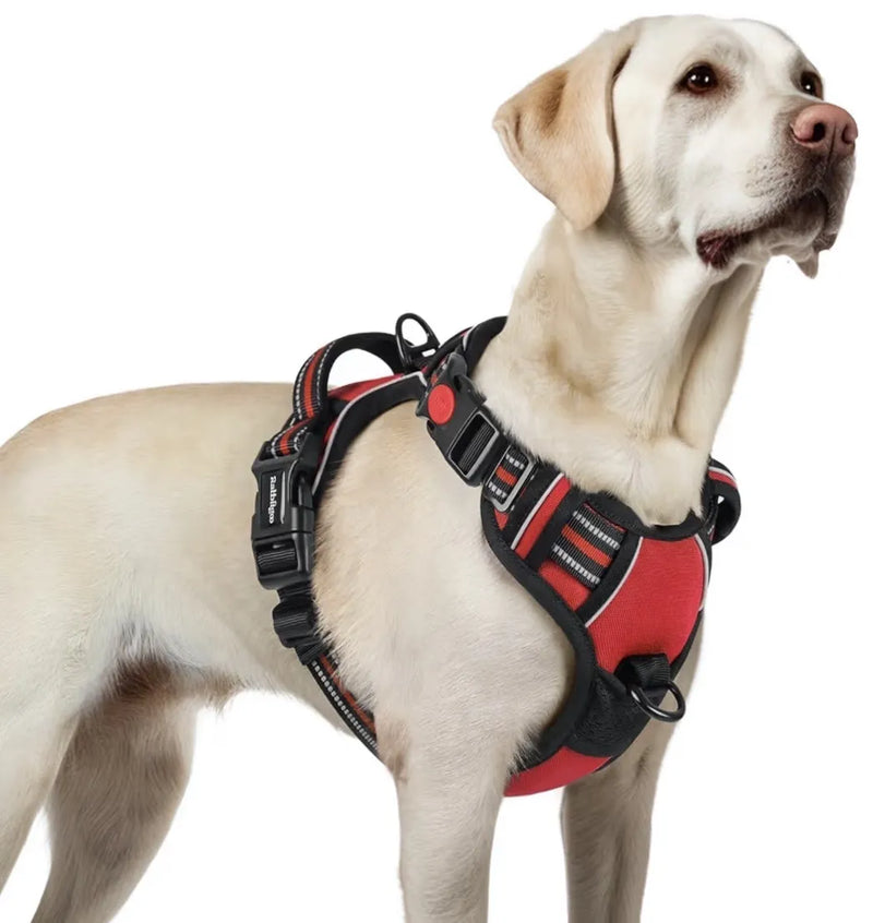 Arnes Perro Mediano con 3 Hebillas rabbitgoo