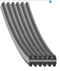 Correa Distribución Febi Bilstein 40713