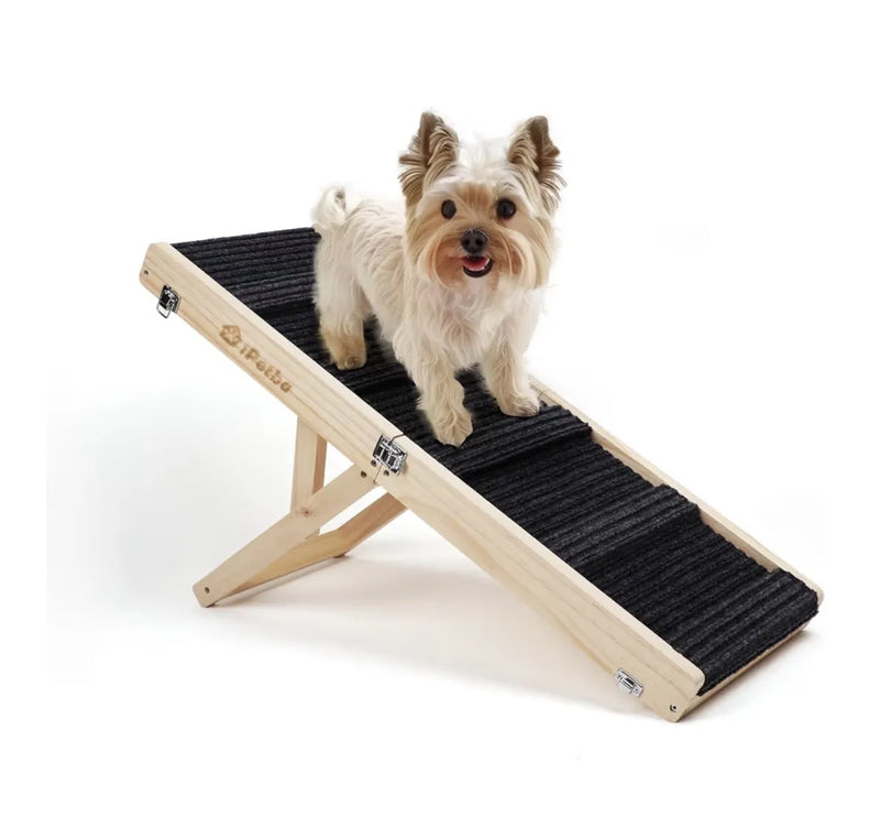 Rampa para perros