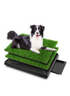 Inodoro para Perros de 63x50 cm