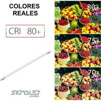 Tubo led 120cm 18W alta eficiencia - Sigmaled