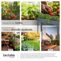 Caléndula para jardinería color antracita