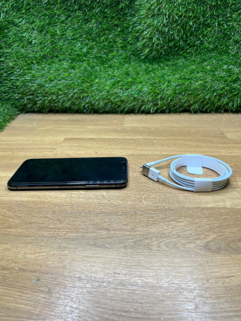 iPhone X con 256 GB
