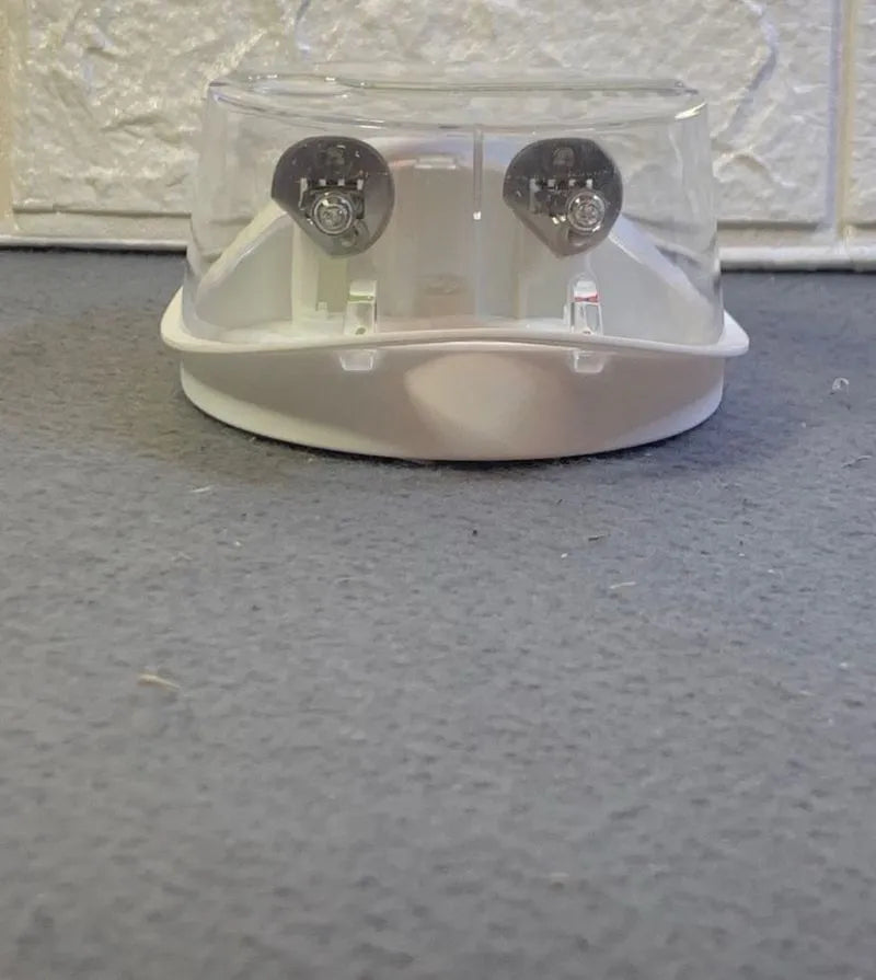 Bombillas para faros delanteros H1 Philips