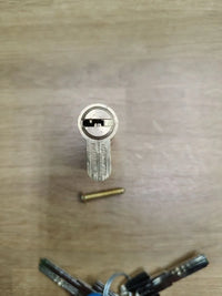 Cilindro de llave plana reversible Tesa