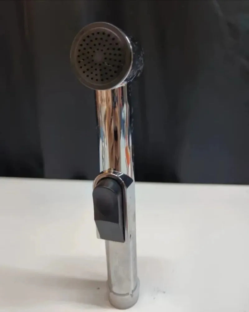 Alcachofa de Bidet