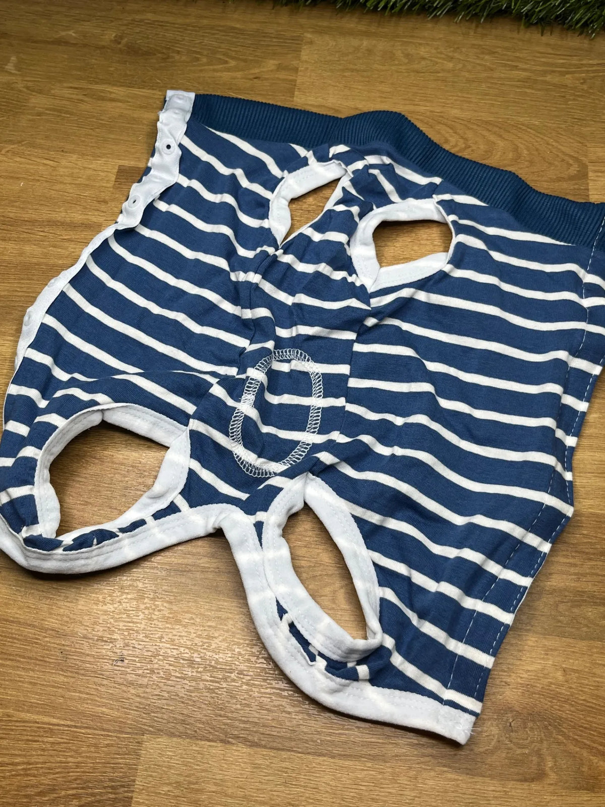 Traje de Recuperación para Perros