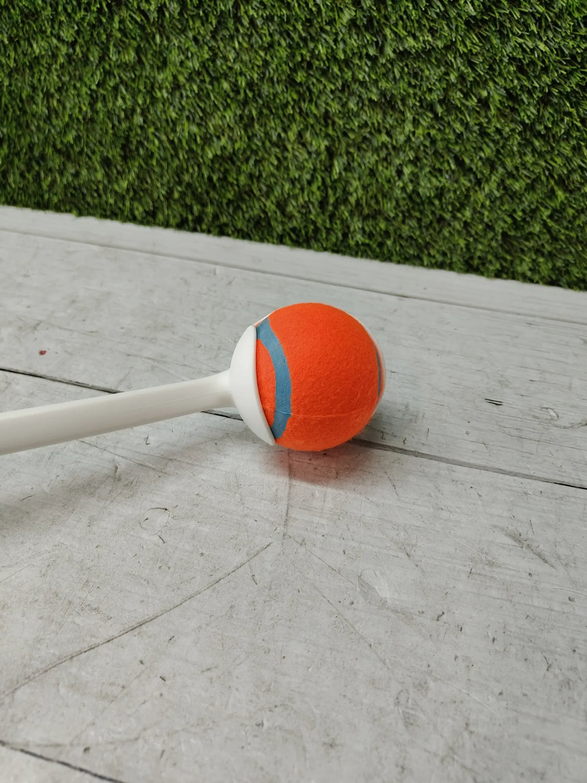 Lanzador de pelotas pro para perros