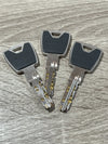 Cilindro perfilado Abus XP20SN