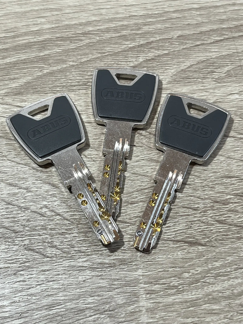 Cilindro perfilado Abus XP20SN