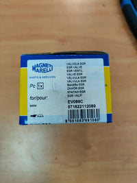 Válvula EGR EV089C