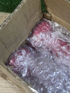 Juego de 2 mancuernas de 0,5KG SONGMICS