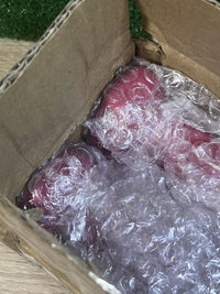 Juego de 2 mancuernas de 0,5KG SONGMICS