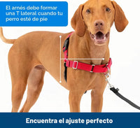 Arnés de paseo con anillas - Petsafe