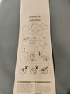 Asiento de inodoro - SCHÜTTE