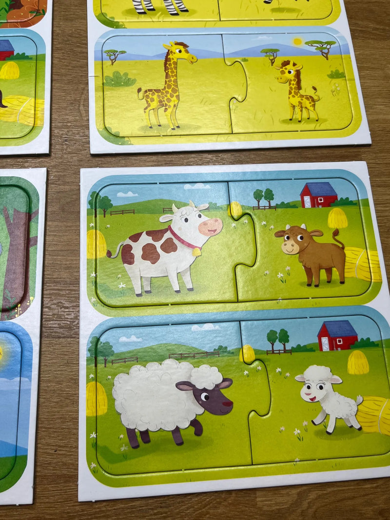 Juego de Lógica y Reflexión Lisciani