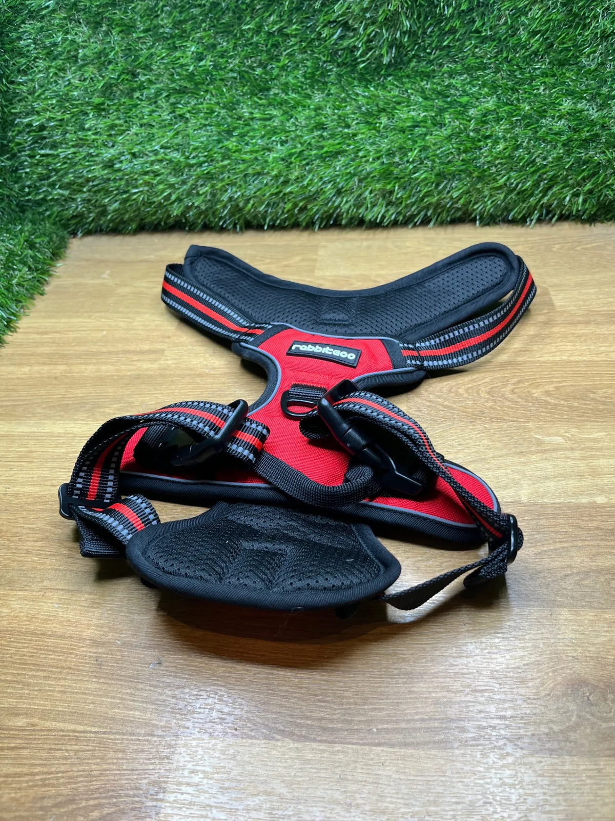 Arnes Perro Mediano con 3 Hebillas rabbitgoo
