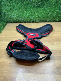 Arnes Perro Mediano con 3 Hebillas rabbitgoo