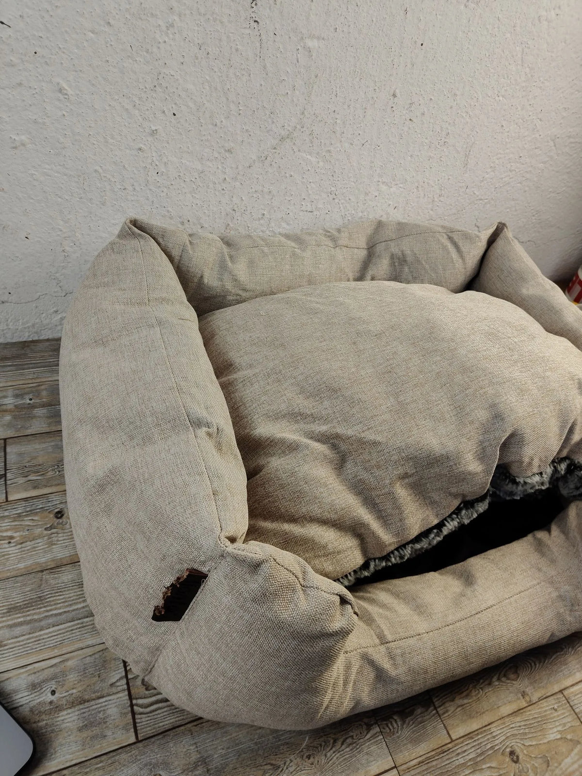 Cama para perro - lionto