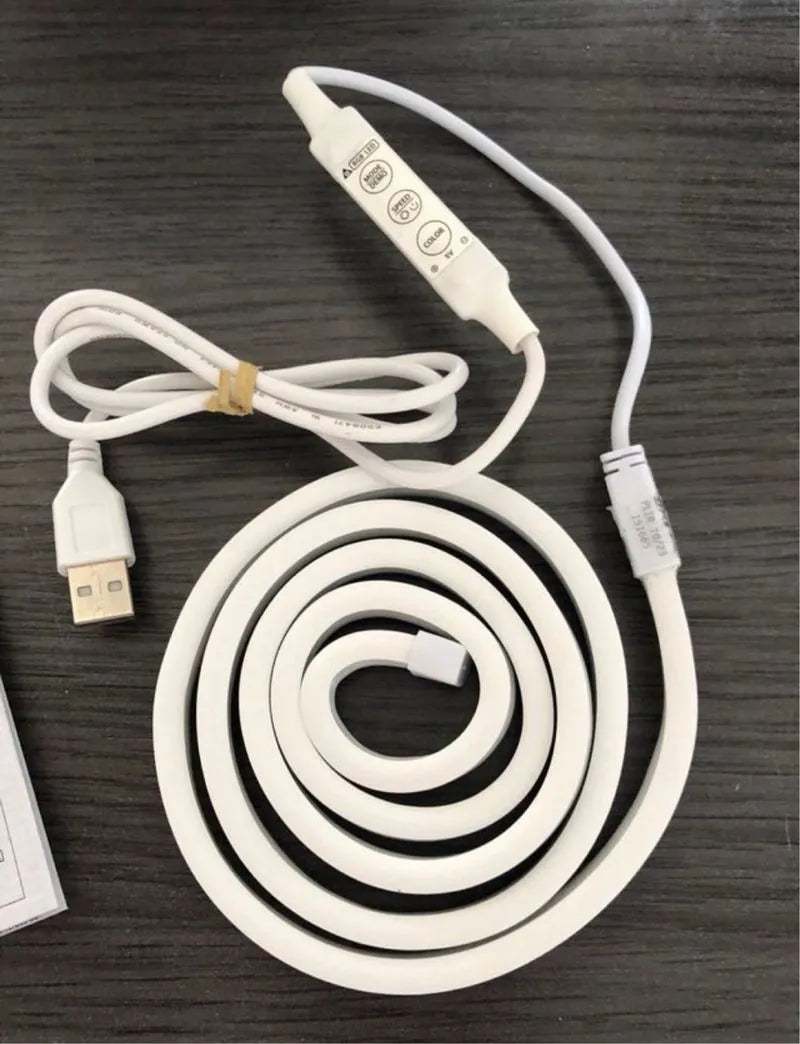 LED Neon Colorflex Paulmann