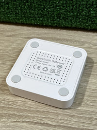 Multimodo Smart Home Gateway MOES